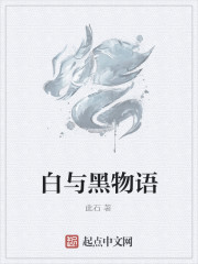 100世紀&mdash;&mdash;白與黑物語